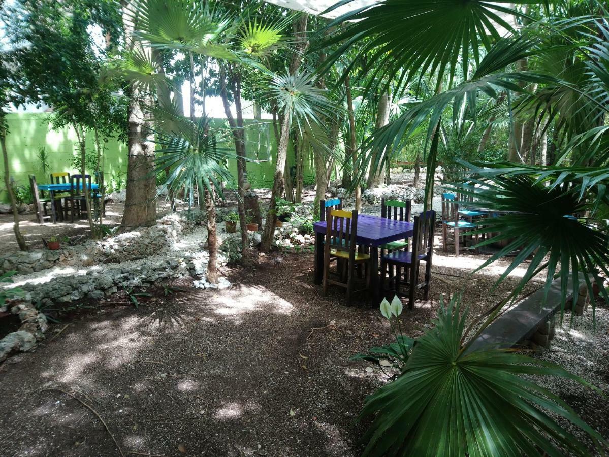 Отель Casita Rustica En La Selva Канкун Экстерьер фото